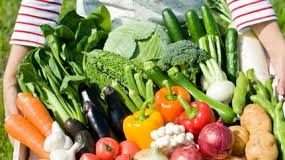 गर्मीमा उपयोगी ६ तरकारी