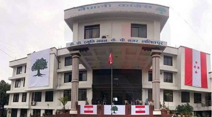 संघीय प्रारुप अनुसार काँग्रेसका संगठन बन्ने