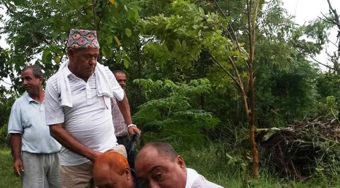 वीपी बाटिकामा बृक्षारोपण