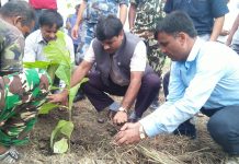 वन जंगलको महत्व बुझौं,संरक्षण गरौं/मन्त्री यादब