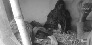 घरमुलीको ज्यान गयो,परिवार समस्यामा