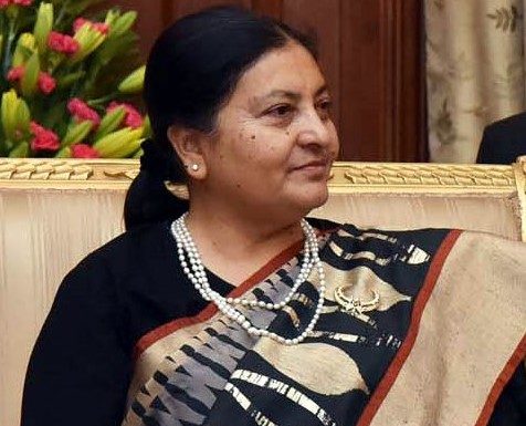 महामारी रोकथामको तयारीबारे राष्ट्रपतिले लिइन् ब्रिफिङ