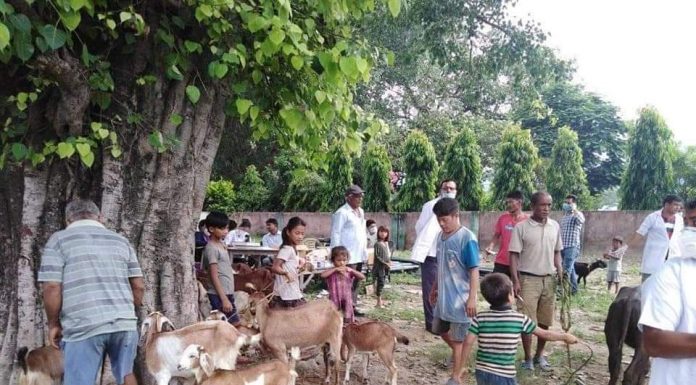 पशु सेवा शाखाद्वारा पौराईमा पशु स्वास्थ शिवीर संचालन