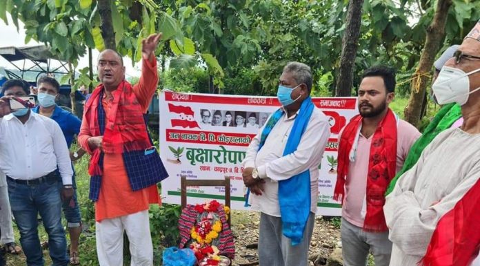 विपीको स्मृतीमा रौतहटमा बृक्षारोपण