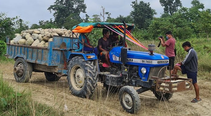 मापदण्ड बिपरीत ढुंगागिट्टी निकासी, सम्बन्धित निकाय मौन