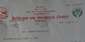 वनको जग्गा प्रकरण:वन कार्यालयले काट्यो कारबाहीको पत्र