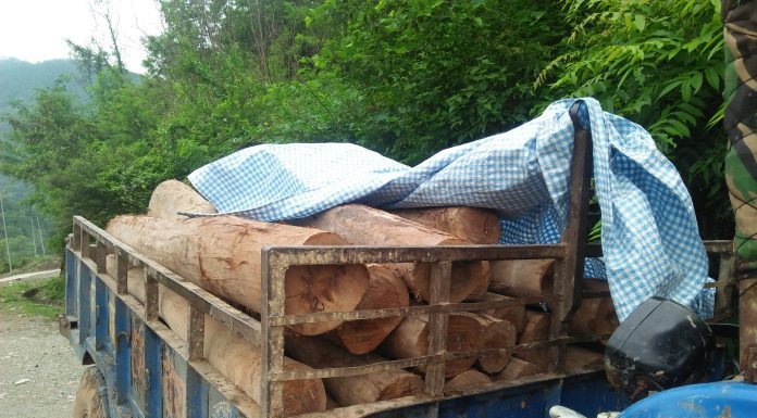 अबैध काठ बोकेको ट्याक्टरसहित एकजना रौतहट प्रहरीको नियन्त्रणमा