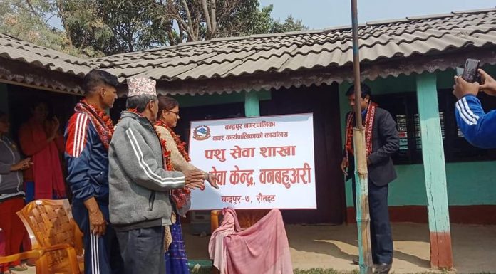 बनबहुअरीमा पशु सेवा केन्द्रको स्थापना