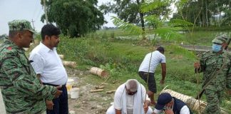 जंगलसहिया-बाल्चनपुर सडकको दुवै किनारमा वृक्षारोपण