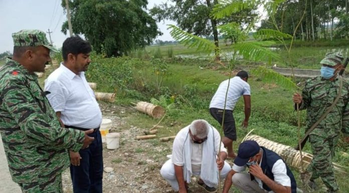 जंगलसहिया-बाल्चनपुर सडकको दुवै किनारमा वृक्षारोपण