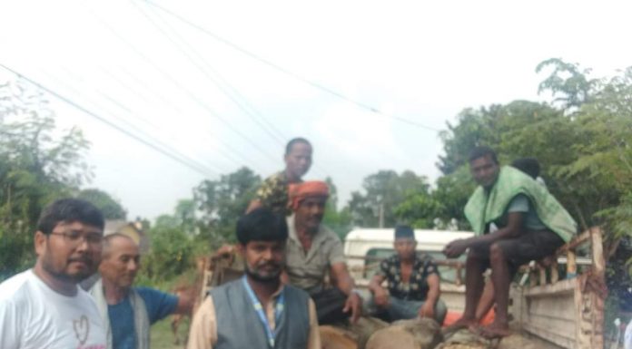 बनबहुअरी चौकीकै बाटो हुँदै काठ तस्करी