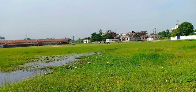 रौतहट क्रिकेट संघनै गौर राईसमिलको जग्गा विक्रि गराउन सक्रिय