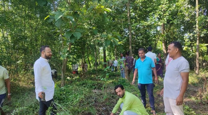 बिपीको ४१औं स्मृतिमा वृक्षारोपण