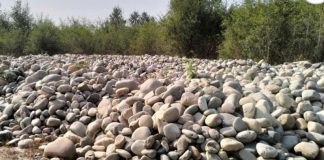 बागमती नदि बाट अवैधरुपमा ढुङ्गा निकासी