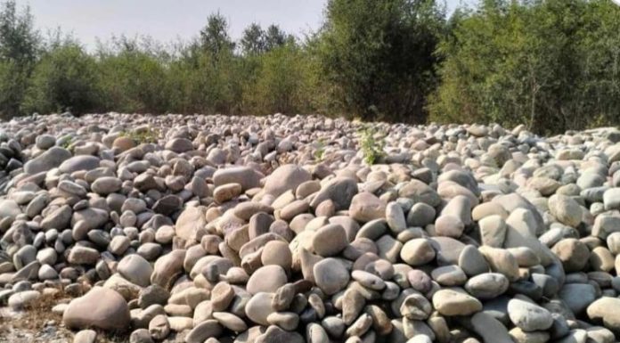 बागमती नदि बाट अवैधरुपमा ढुङ्गा निकासी