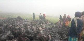 अज्ञात समूहद्धारा धानमा आगजनी,लाखौको क्षति