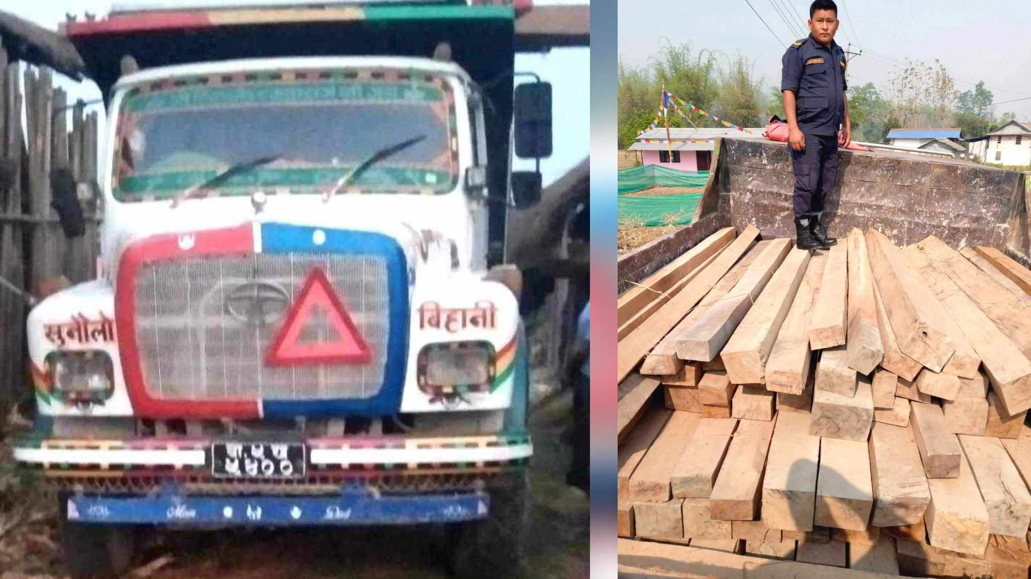 सालको चिरान काठ, टिफर सहित १ जना नियन्त्रणमा