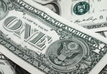 मन्त्रीबाट लुकाइएको २४ मिलियन डलर बरामद