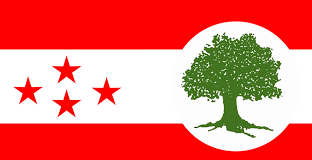 कांग्रेस संसदीय दलको बैठक आज बस्दै