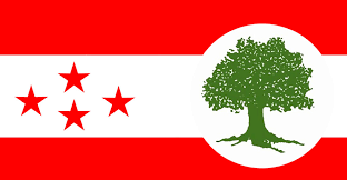 कांग्रेस संसदीय दलको बैठक आज बस्दै