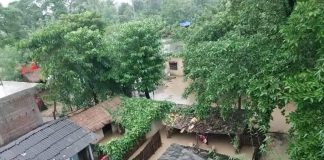 बाढीका कारण मधेसमा अर्बौंको क्षती
