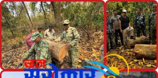 वन पैदावार र अतिक्रमण नियन्त्रण गर्दै डिभिजन वन प्रमुख साह