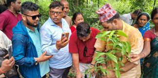 ४३ औँ बीपी स्मृति दिवसको अवसरमा बृक्षारोपण कार्यक्रम सम्पन्न
