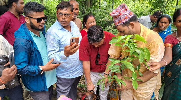 ४३ औँ बीपी स्मृति दिवसको अवसरमा बृक्षारोपण कार्यक्रम सम्पन्न