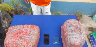 गाँजा सहित थिङ प्रहरी फन्दामा