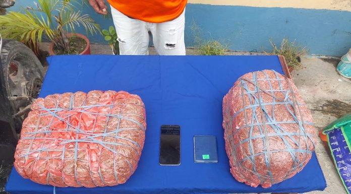 गाँजा सहित थिङ प्रहरी फन्दामा