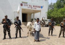 मदिरा र गोरु तस्करी: दुई तस्कर पक्राउ