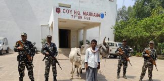 मदिरा र गोरु तस्करी: दुई तस्कर पक्राउ