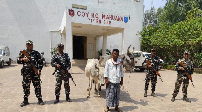 मदिरा र गोरु तस्करी: दुई तस्कर पक्राउ