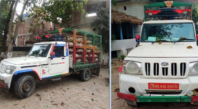 भारतीय कुखुरा बोकेको गाडी नियन्त्रणमा ,मुस्कान पोल्ट्रि फर्म राजपुरका संचालक रामप्रवेश साह माथी तस्करीको आरोप